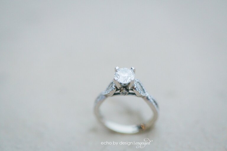 Dayton_Dragons_Engagement_Photos021