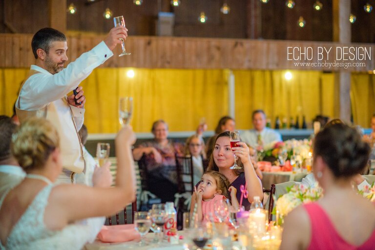 Willow-Tree-Wedding-Tipp-City-Dayton-Wedding-Photographer074