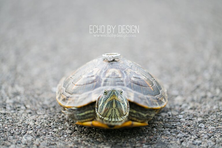 Ring Shot with Turtle