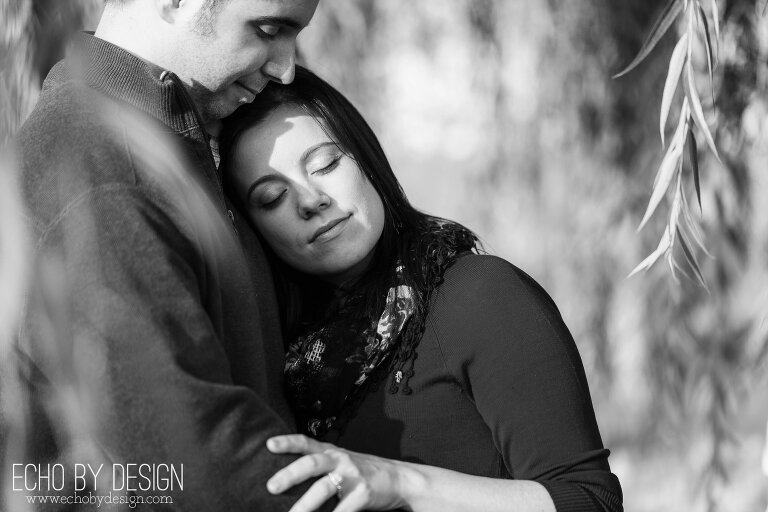 Willow Tree Picture with couple hugging