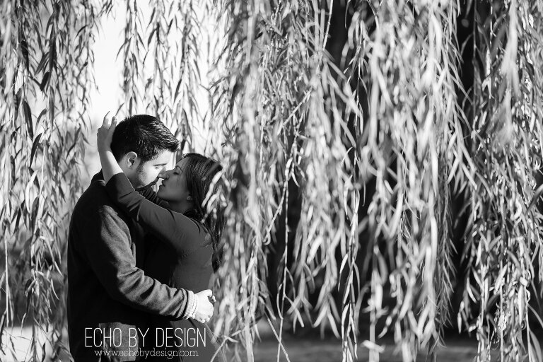 Engagement Photo of couple in willow trees