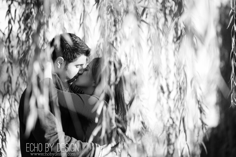 Engagement Photo of Couple in Willow Trees