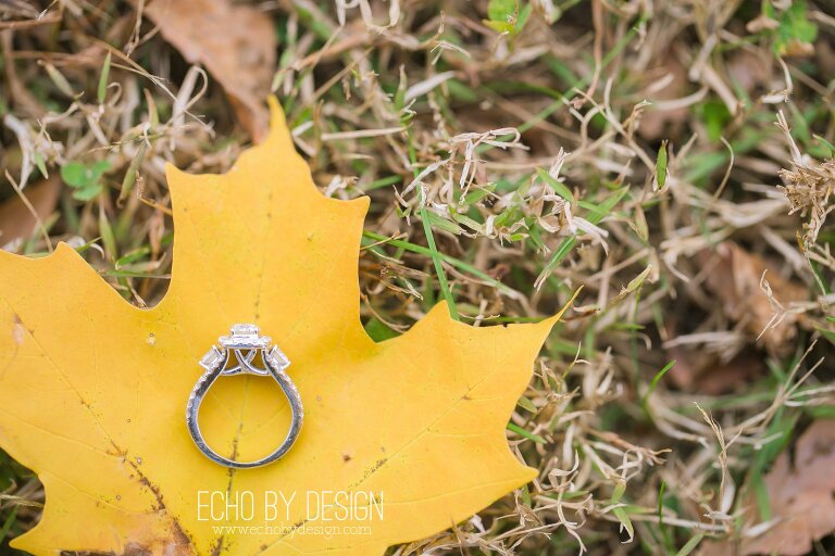 Dayton Engagement and Wedding Photographer