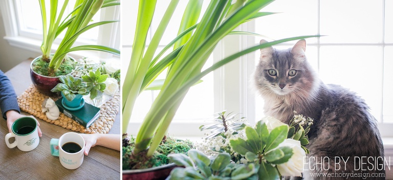 Dayton Lifestyle Maternity Photographer has photo of cat on kitchen table