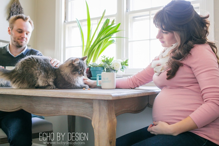 Cat at kitchen table during in home Maternity Session