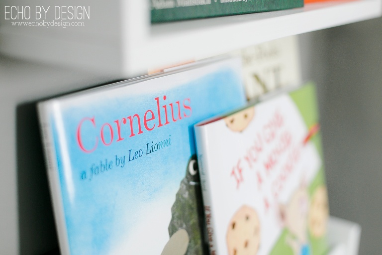 Cornelius Book on Ikea Spice Racks turned Bookshelves