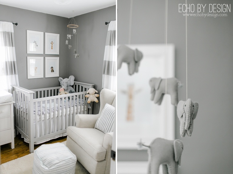 Zebra Giraffe Lion Monkey Zoo Animal Nursery Decor