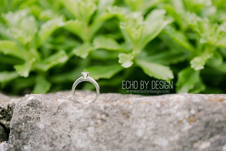 Photo of Engagement Ring at Wegerzyn Gardens