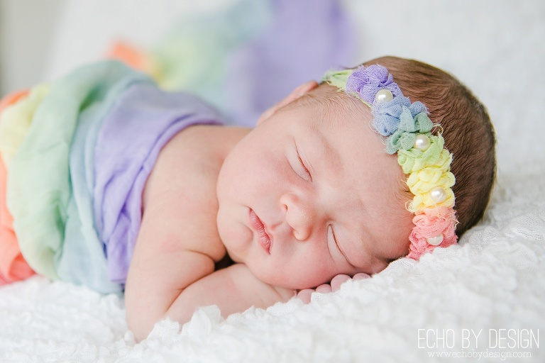 Dayton Newborn Photographer