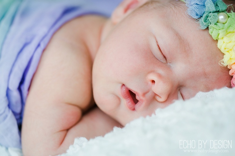 Dayton Newborn Photographer