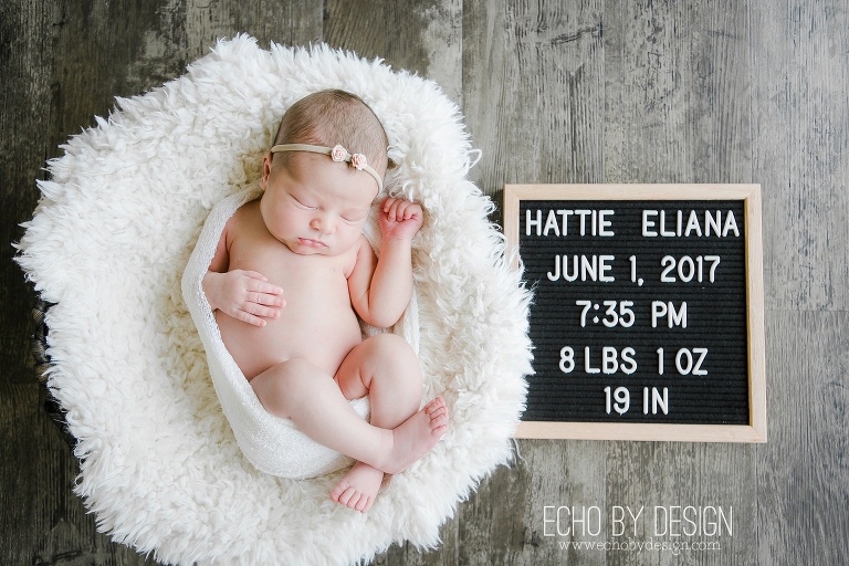 Dayton Newborn Photographer