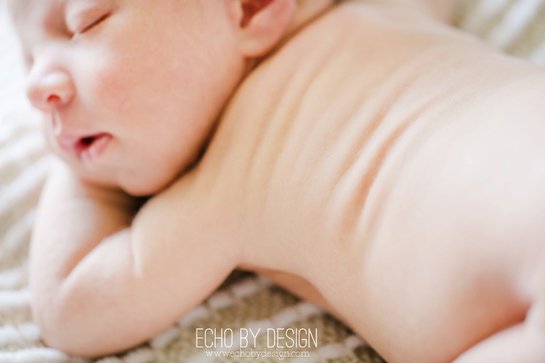 Dayton Newborn Photographer