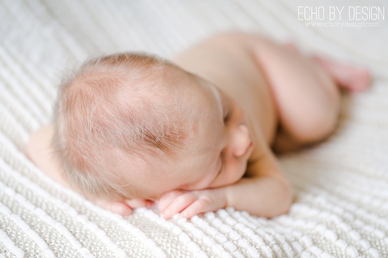 Dayton Newborn Photographer 