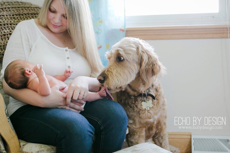 Dayton Newborn Photographer