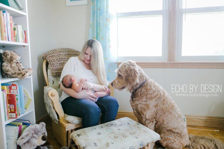 Dayton Newborn Photographer