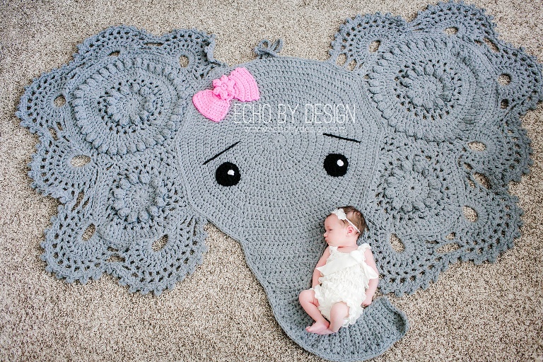 Dayton Infertility Miracle Baby Photographer